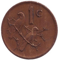 Монета 1 цент. 1977 год, ЮАР. Воробьи. Монета 1 цент. 1977 год, ЮАР. Воробьи.