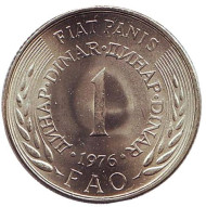 Монета 1 динар. 1976 год, Югославия. ФАО. Монета 1 динар. 1976 год, Югославия. ФАО.