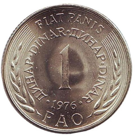 Монета 1 динар. 1976 год, Югославия. ФАО.