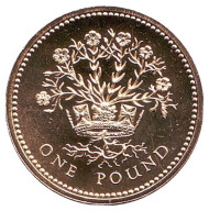 Монета 1 фунт. 1991 год, Великобритания. Растение льна и королевская диадема. BU. Монета 1 фунт. 1991 год, Великобритания. Растение льна и королевская диадема. BU.