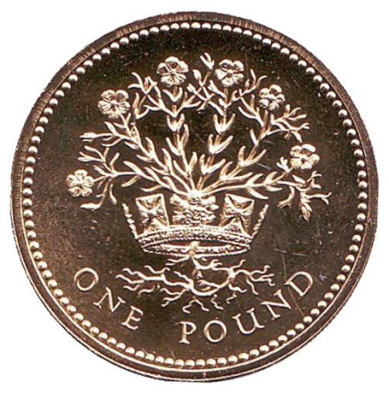 Монета 1 фунт. 1991 год, Великобритания. BU. Растение льна и королевская диадема.
