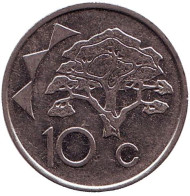 Монета 10 центов. 2002 год, Намибия. Акация. Монета 10 центов. 2002 год, Намибия. Акация.