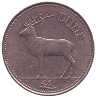 Монета 1 фунт. 1994 год, Ирландия. Олень. Монета 1 фунт. 1994 год, Ирландия. Олень.