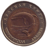 Монета 50 рублей, 1993 год, Россия. Черноморская афалина (серия "Красная книга"). Монета 50 рублей, 1993 год, Россия. Черноморская афалина (серия "Красная книга").