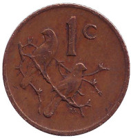 Монета 1 цент. 1979 год, ЮАР. Воробьи. Монета 1 цент. 1979 год, ЮАР. Воробьи.