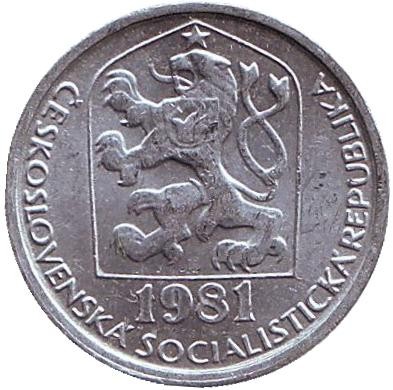 81-1zm.jpg 81-1zm.jpg