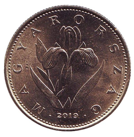 Монета 20 форинтов. 2019 год, Венгрия. Венгерский ирис.