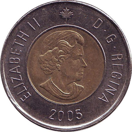 Монета 2 доллара. 2005 год, Канада. Полярный медведь.