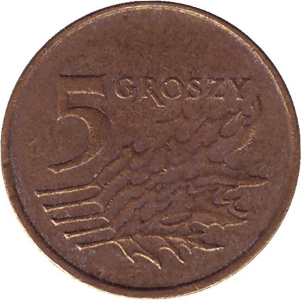 Монета 5 грошей. 2000 год, Польша. Дубовые листья.