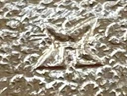 Пионерский значок. Всегда готов! Старший пионер. 1980-е гг., СССР. Пионерский значок. Всегда готов! Старший пионер. 1980-е гг., СССР.