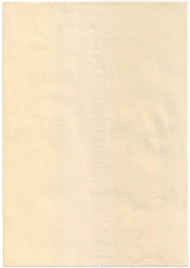 XII Всемирный фестиваль молодёжи и студентов 1985 года. Лист бумаги с водяными знаками. Гознак, Россия. XII Всемирный фестиваль молодёжи и студентов 1985 года. Лист бумаги с водяными знаками. Гознак, Россия.