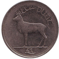 Монета 1 фунт. 1999 год, Ирландия. Олень. Монета 1 фунт. 1999 год, Ирландия. Олень.