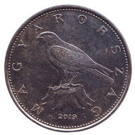 Монета 50 форинтов. 2019 год, Венгрия. Сокол. (Балобан).