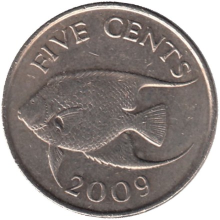 Монета 5 центов. 2009 год, Бермудские острова. Тропическая рыба (Ангел-королева). 