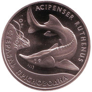 Монета 2 гривны. 2012 год, Украина. Стерлядь пресноводная.