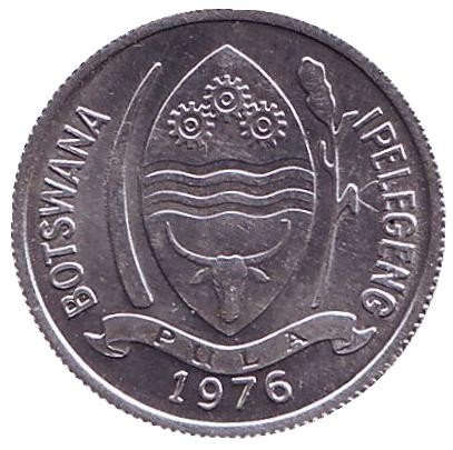Монета 1 тхебе. 1976 год, Ботсвана. Турако. Монета 1 тхебе. 1976 год, Ботсвана. Турако.