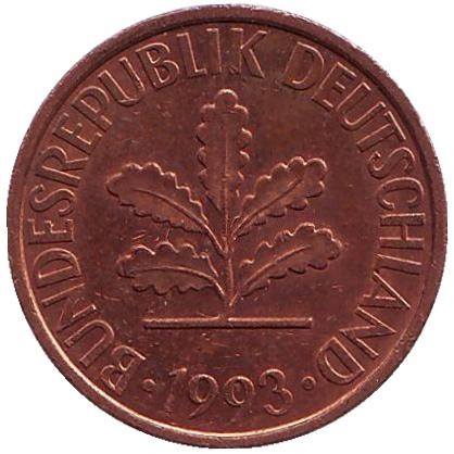 Монета 2 пфеннига. 1993 год (D), ФРГ. Дубовые листья. Монета 2 пфеннига. 1993 год (D), ФРГ. Дубовые листья.