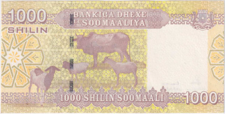 Банкнота 1000 шиллингов. 2010 год, Сомали.
