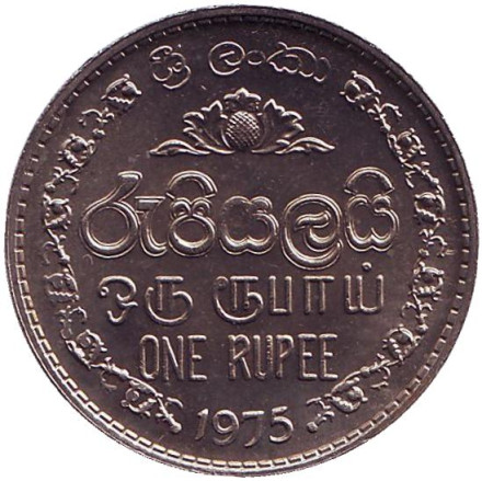 Монета 1 рупия. 1975 год, Шри-Ланка. UNC.
