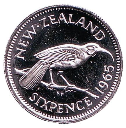 Монета 6 пенсов. 1965 год, Новая Зеландия. Proof. Гуйя.