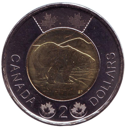 Монета 2 доллара. 2013 год, Канада. Медведь.