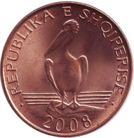 Монета 1 лек. 2008 год, Албания. Пеликан. Монета 1 лек. 2008 год, Албания. Пеликан.