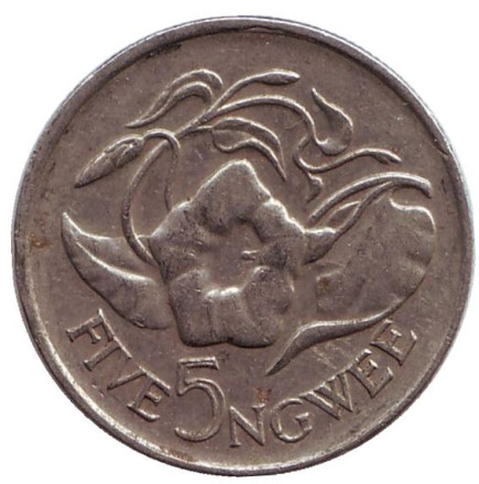 Монета 5 нгве. 1972 год, Замбия. Цветок "Дневная красавица".