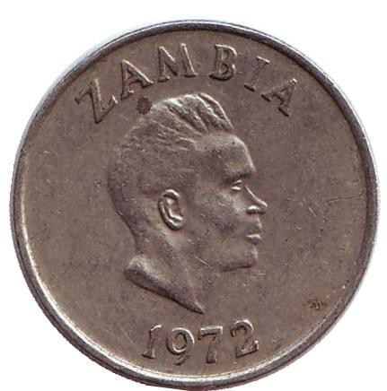 Монета 5 нгве. 1972 год, Замбия. Цветок "Дневная красавица". Монета 5 нгве. 1972 год, Замбия. Цветок "Дневная красавица".