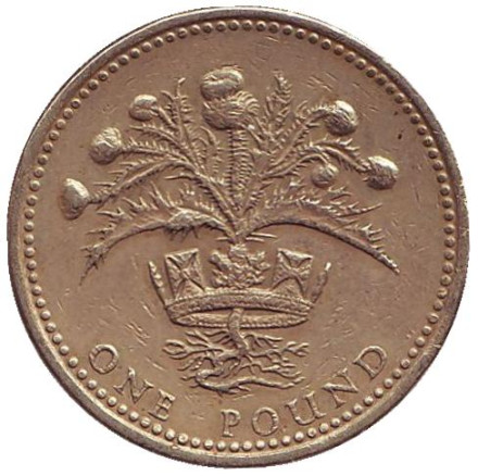 Монета 1 фунт. 1989 год, Великобритания. Чертополох.