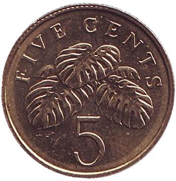 Монета 5 центов. 2009 год, Сингапур. Монстера деликатесная.