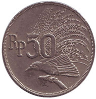 Монета 50 рупий. 1971 год, Индонезия. Большая райская птица. Монета 50 рупий. 1971 год, Индонезия. Большая райская птица.