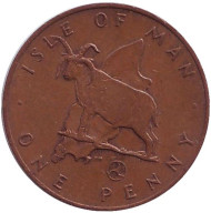 Монета 1 пенни. 1979 год, Остров Мэн. (AB) Мэнский лохтан. Монета 1 пенни. 1979 год, Остров Мэн. (AB) Мэнский лохтан.