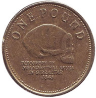 Монета 1 фунт. 2009 год, Гибралтар. Находка черепа неандертальца на Гибралтаре. Монета 1 фунт. 2009 год, Гибралтар. Находка черепа неандертальца на Гибралтаре.