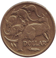 Кенгуру. Монета 1 доллар. 2006 год, Австралия.