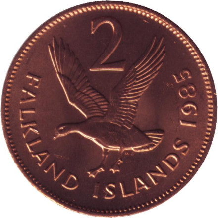 Монета 2 пенса. 1985 год, Фолклендские острова. UNC. Магелланов гусь.