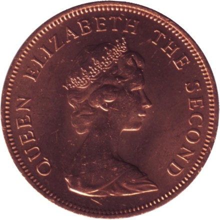 Монета 2 пенса. 1985 год, Фолклендские острова. UNC. Магелланов гусь.