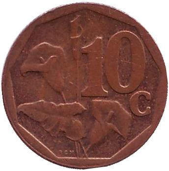 Монета 10 центов. 2015 год, Южная Африка. Лилия.