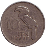 Монета 10 нгве. 1972 год, Замбия. Птица-носорог. Монета 10 нгве. 1972 год, Замбия. Птица-носорог.