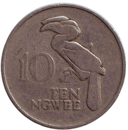 Монета 10 нгве. 1972 год, Замбия. Птица-носорог.