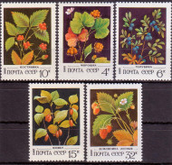 Марки почтовые. Серия из 5 штук. 1982 год, СССР. Ягоды. Марки почтовые. Серия из 5 штук. 1982 год, СССР. Ягоды.