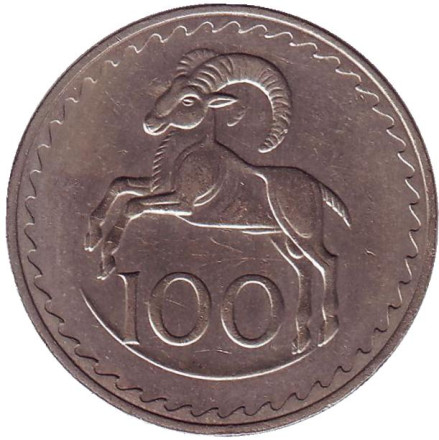 Монета 100 миллей. 1978 год, Кипр. Кипрский муфлон.