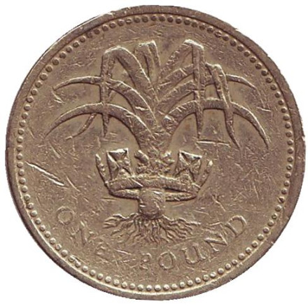 Монета 1 фунт. 1990 год, Великобритания. Лук-порей.