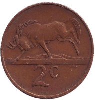 Монета 2 цента. 1982 год, Южная Африка. Окончание президентства Бальтазара Йоханнеса Форстера. Белохвостый гну. Монета 2 цента. 1982 год, Южная Африка. Окончание президентства Бальтазара Йоханнеса Форстера. Белохвостый гну.
