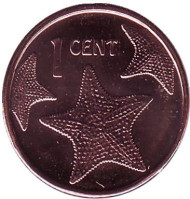 Монета 1 цент. 2015 год, Багамские острова. Морская звезда. Магнитная. Монета 1 цент. 2015 год, Багамские острова. Морская звезда. Магнитная.
