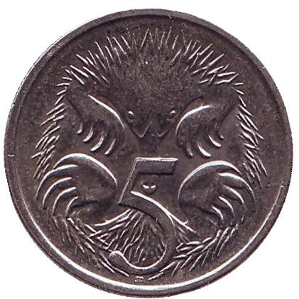 Монета 5 центов. 2007 год, Австралия. Ехидна.
