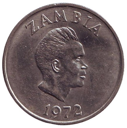 Монета 20 нгве. 1972 год, Замбия. Водяной козел. Монета 20 нгве. 1972 год, Замбия. Водяной козел.