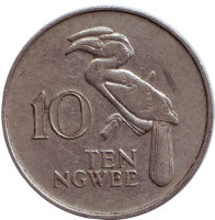 Птица-носорог. Монета 10 нгве. 1987 год, Замбия.