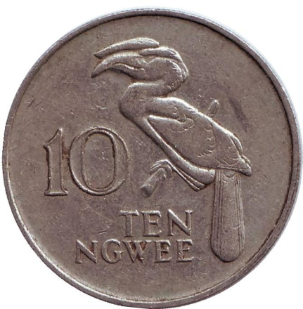 Монета 10 нгве. 1987 год, Замбия. Птица-носорог.