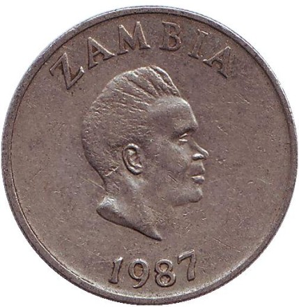 Монета 10 нгве. 1987 год, Замбия. Птица-носорог.