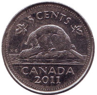 Бобр. Монета 5 центов, 2011 год, Канада.